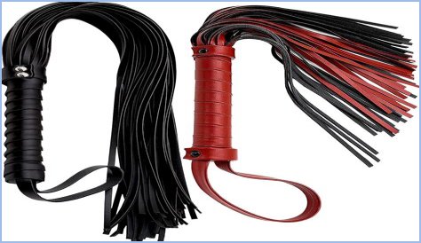 Terms of Use - House and Whips